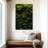 " Thick Moss "-562715154