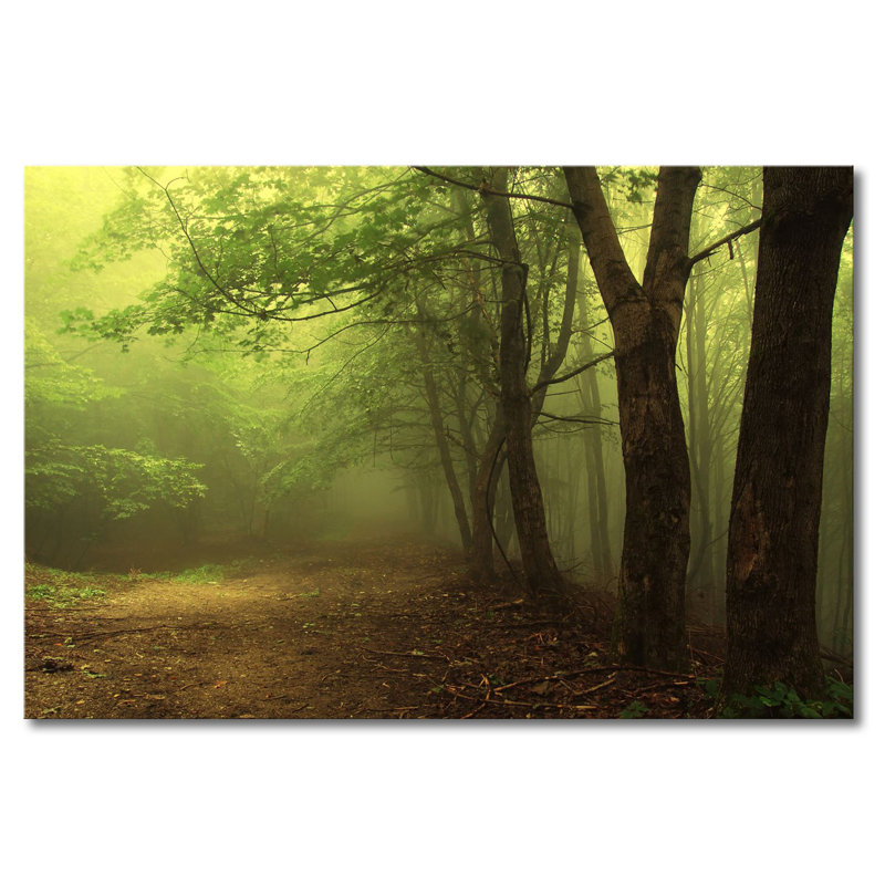 Wrapped Canvas Print, 80cm H x 100cm W x 2cm D