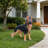 Outdoor German shepherd Dog Statue