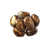 Brown/Gold
