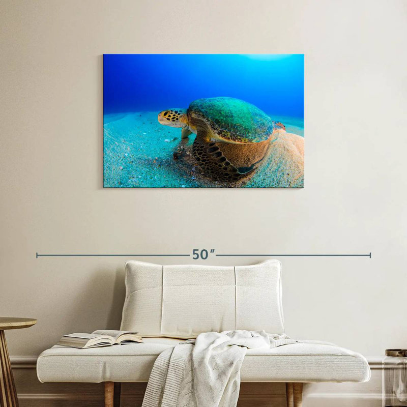 Tortue de mer Brampt, H 24 po x l 36 po
