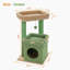 Arbre à chat, tour de chat en forme de cactus pour chats d'intérieur avec condo pour chat privé, poteaux à griffer en sisal naturel et pompon en peluche pour petits chats