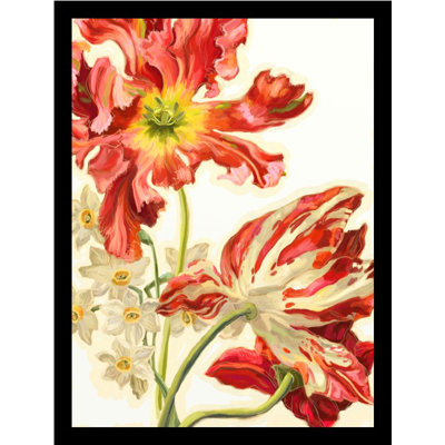 " Étude De Tulipes III Poster " by Heather Craig