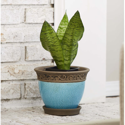 Cadiz Ceramic Pot Planter with Saucer