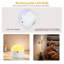 Armed Sconce