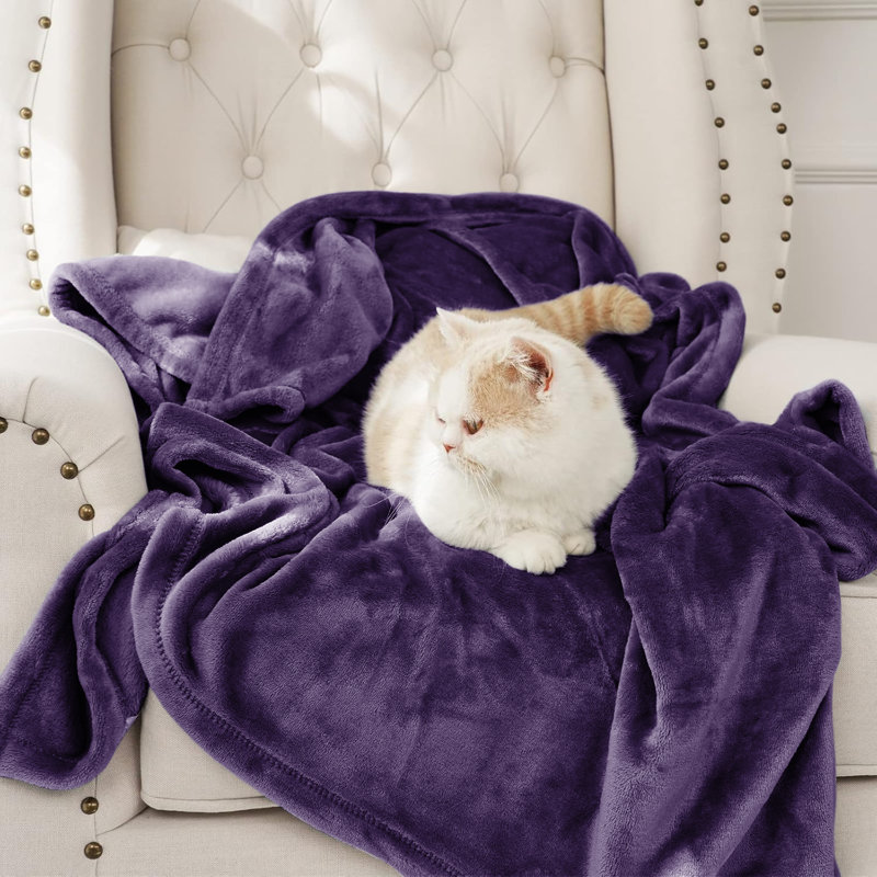 Couverture simple en molleton 300 g / m² - Couverture douce pour lit simple toutes saisons, Lit simple, Mauve