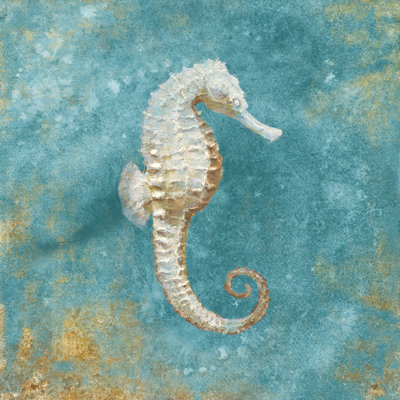 Treaures From The Sea I Aqua by Danhui Nai - Wrapped Canvas Painting