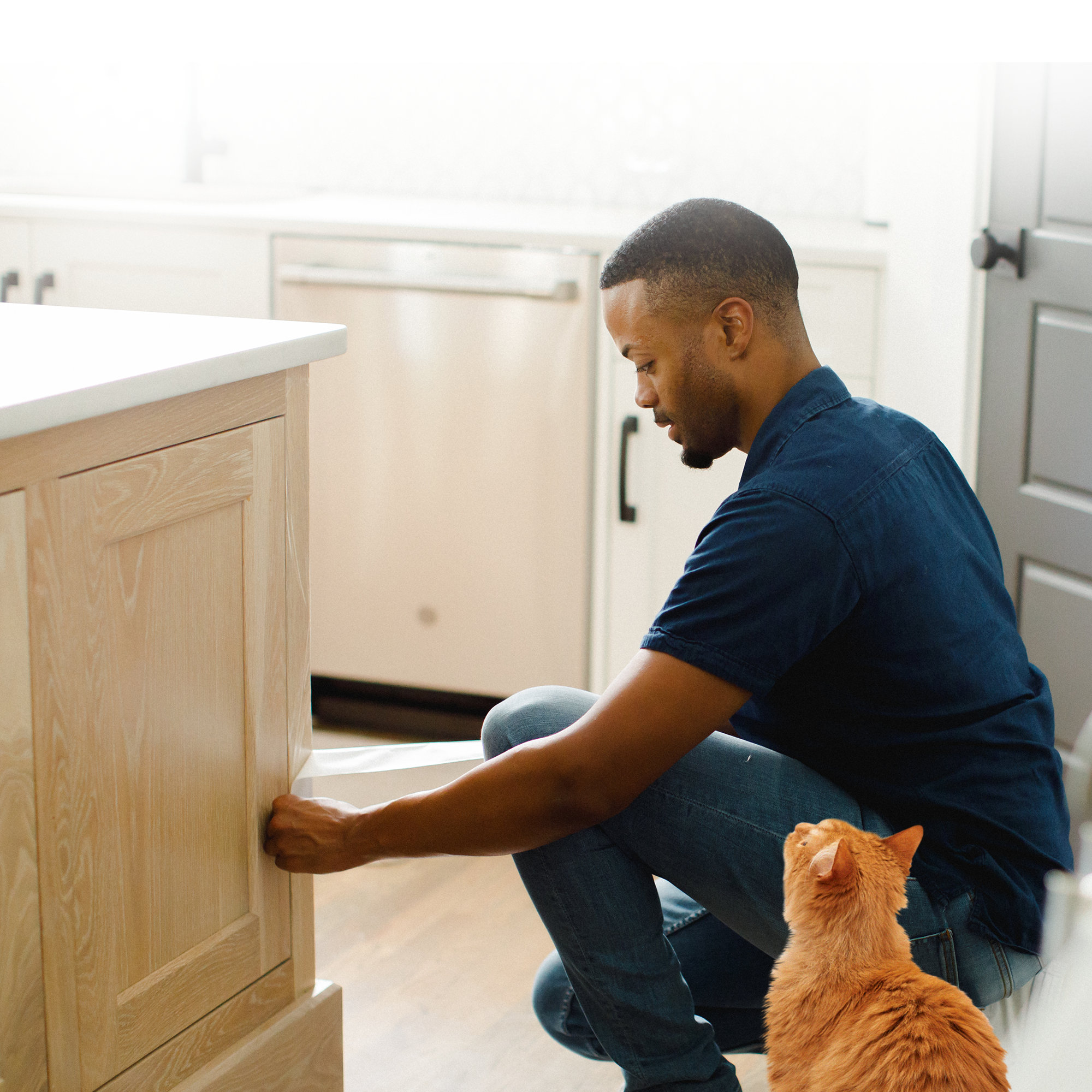 Keeping cats clearance off furniture