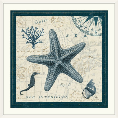 «ocean life v, impression
