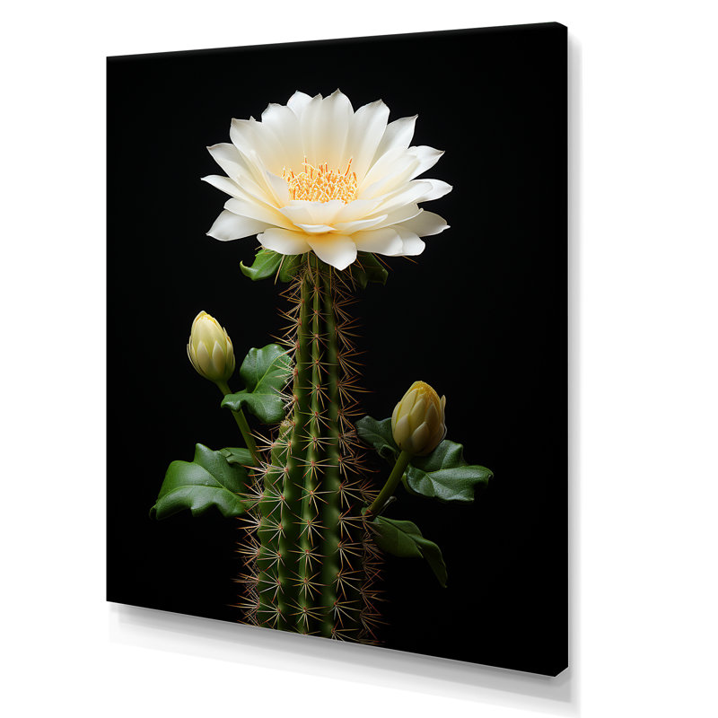«Cactus Ivory Isolation II», reproduction sur toile, H 32 po x l 16 po x P 1 po, Toile tendue