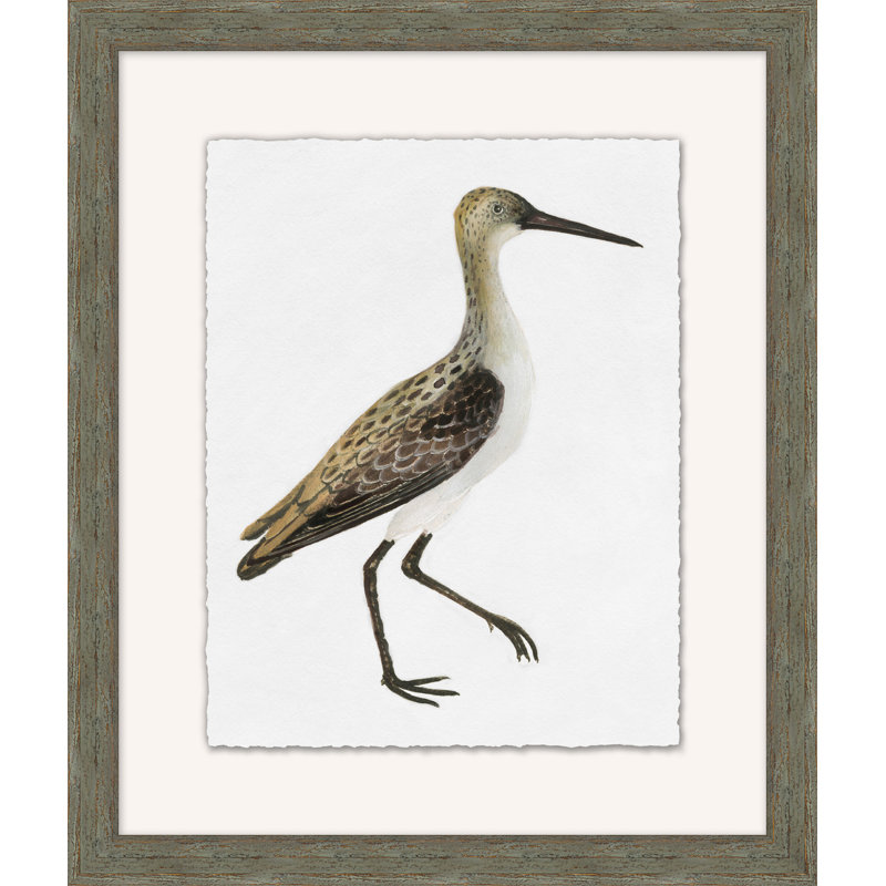 Wetland Bird Study 5 Painting