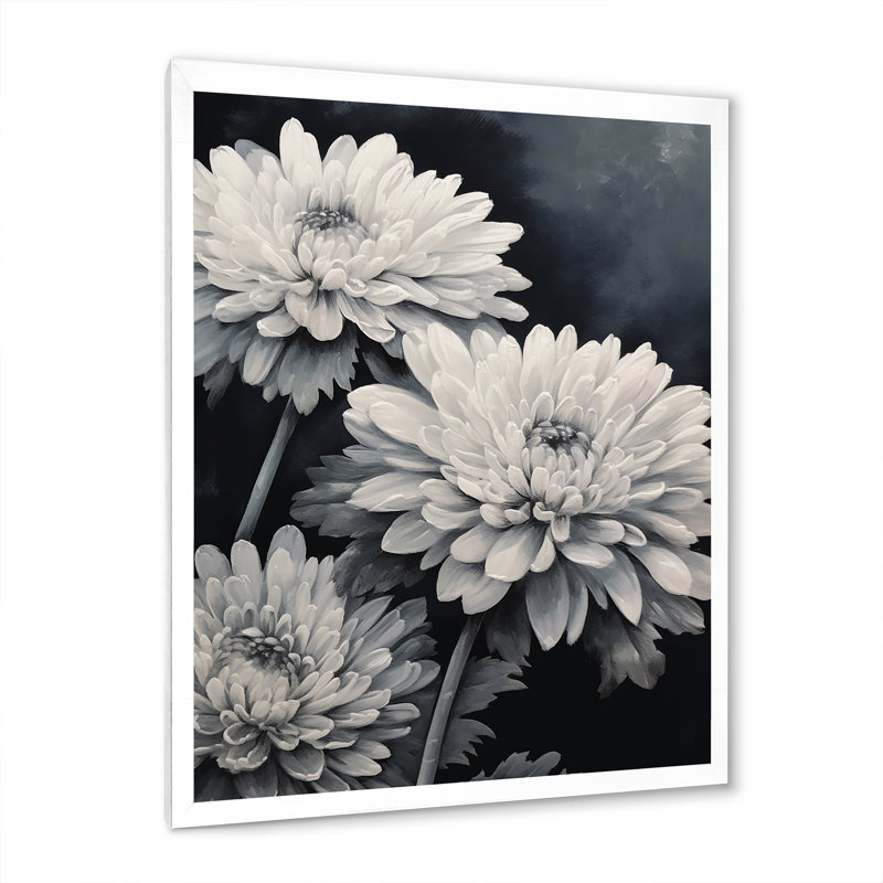 «Mums White» sur 20 nuances de gris foncé sur toile, H 32 po x l 24 po x P 1 po, Cadre simple blanc