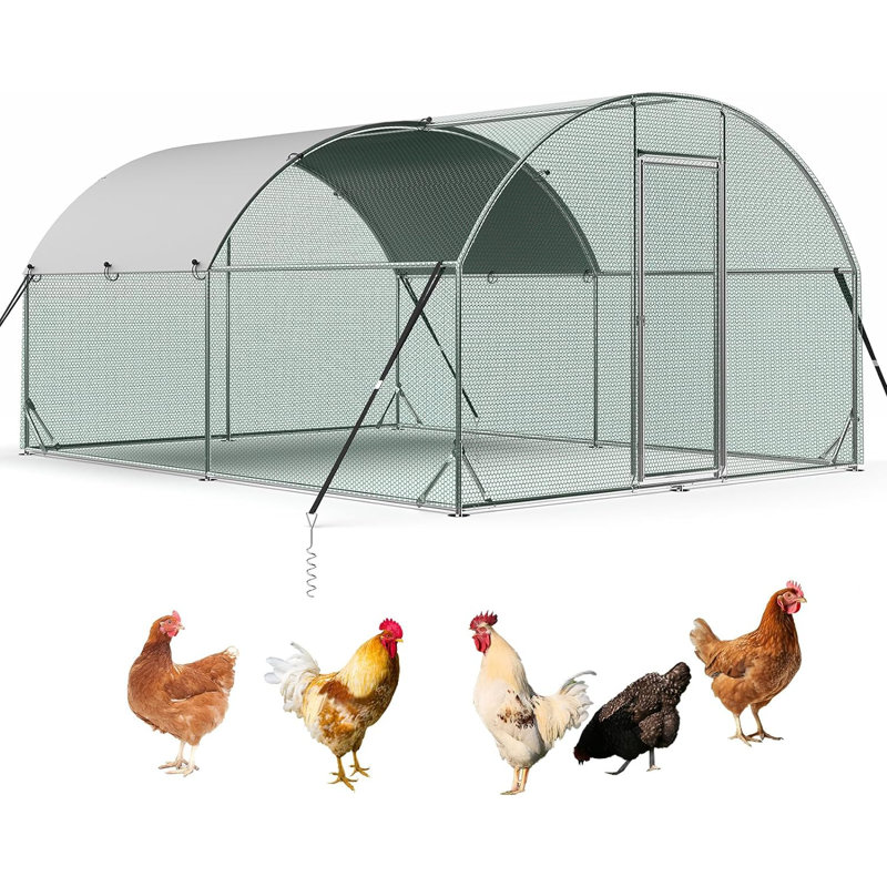 Erisa Chicken Run, 76.80" H x 120" W x 156" D