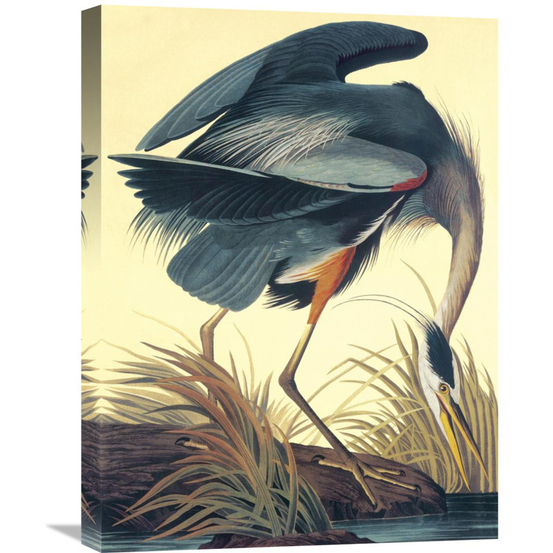 Great Blue Heron Canvas Wall Art, 24" x 18"