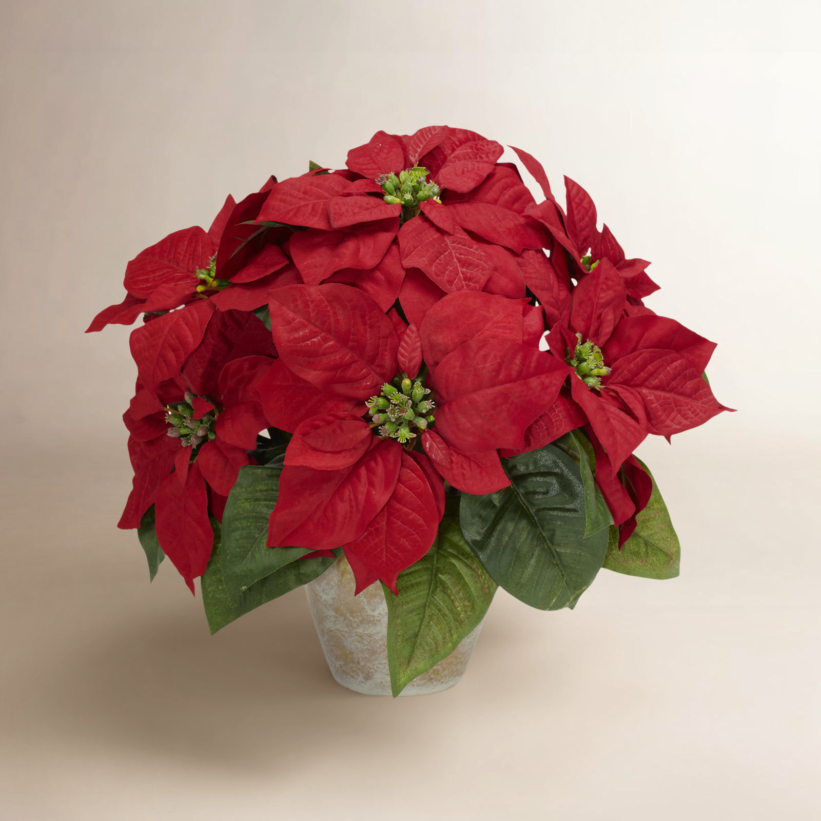 Poinsettia Floral Arrangement