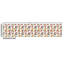 Gingerich Lilies Tropical Flower Blooms Leaves on Skull Fabric