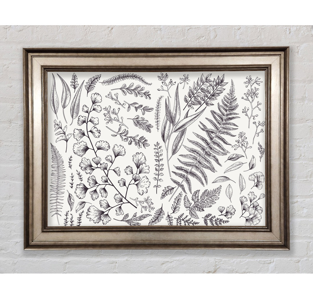 Natures Leaves Hand Drawn - Single Picture Frame Kunstdrucke