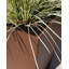 Pot à fleurs Pure Series Nobleton-20733621-20733622-53236033