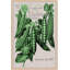 Peas - Wrapped Canvas Print-578920634