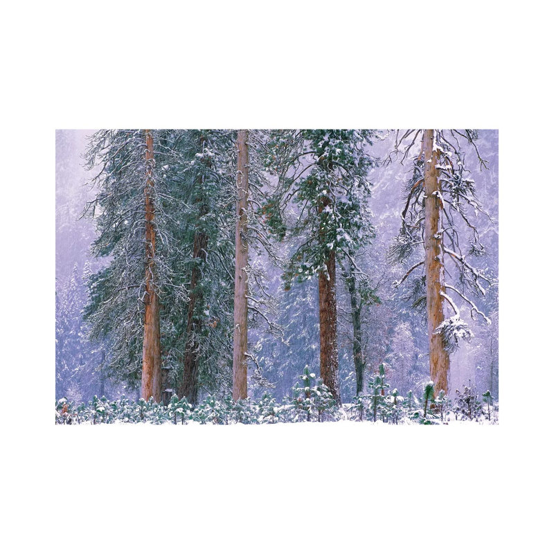 Winter in Yosemite National Park, California 1 Piece Wrapped Canvas Painting, 30.48 cm H x 45.72 cm W
