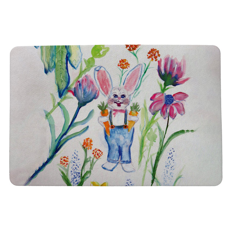 Tapis d'extérieur antidérapant Mr Farmer 26 po x 18 po
