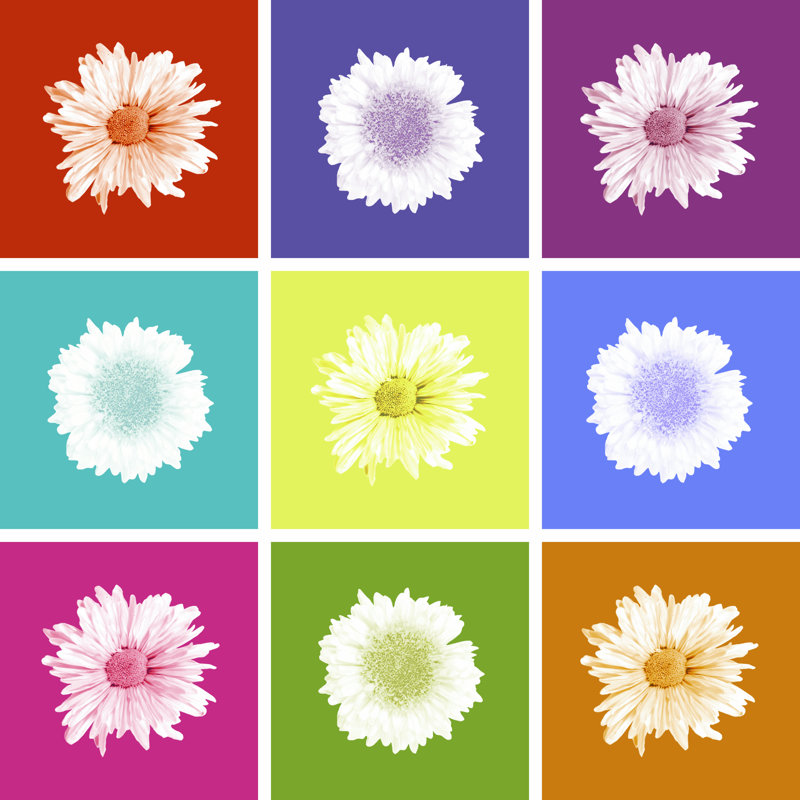 Vivid Bouquet by Jason Johnson - Wrapped Canvas Print, 30cm H x 30cm W