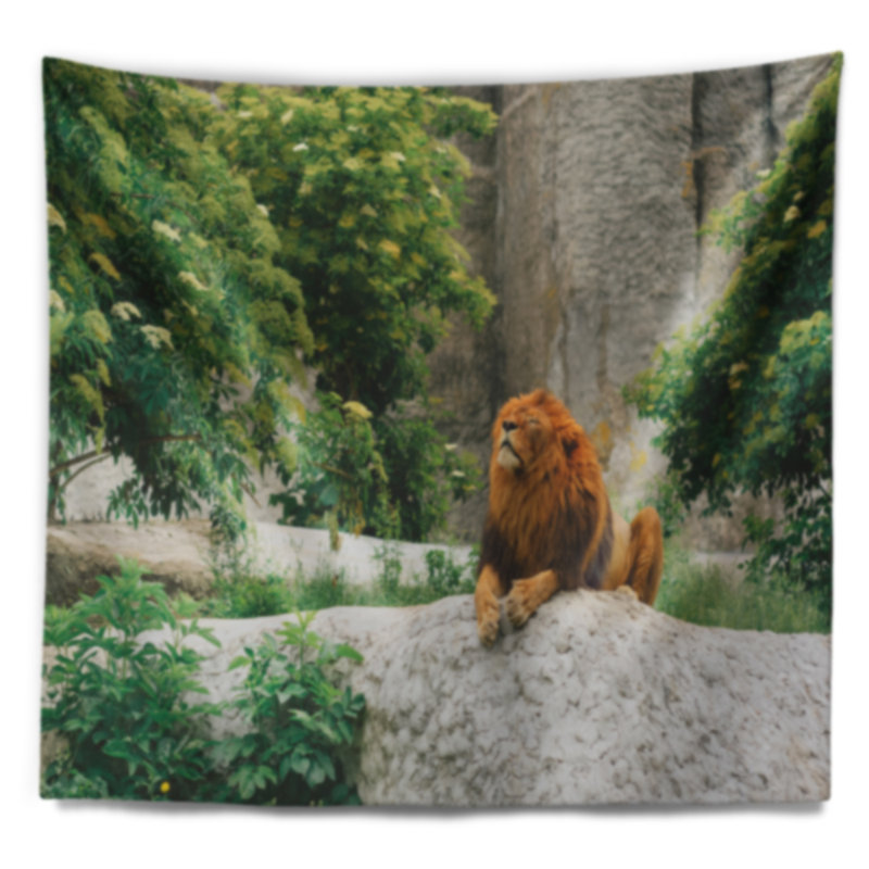Paysage avec un grand lion couché sur des pierres dans une tapisserie du zoo, H 50 po x l 60 po