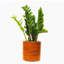 Pot à fleurs en plastique peint 7,8 po