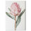 «Rosy Flowering II Floral Decor», reproduction d'art sur toile par Art Remedy