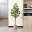 Ficus artificiel Adcock en pot avec des feuilles réalistes et un tronc naturel-2082728121