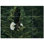 4.25'' x 4.25'' Satin Ceramic Decorative Mural