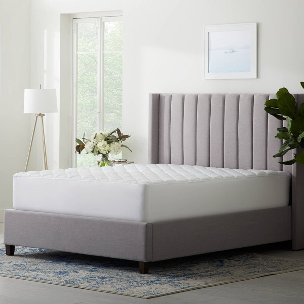 Alwyn Home Okarche Down Mattress Pad & Reviews | Wayfair