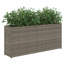 Planter Box-1535048657-1535048655