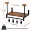 Sports Rack-1825814874