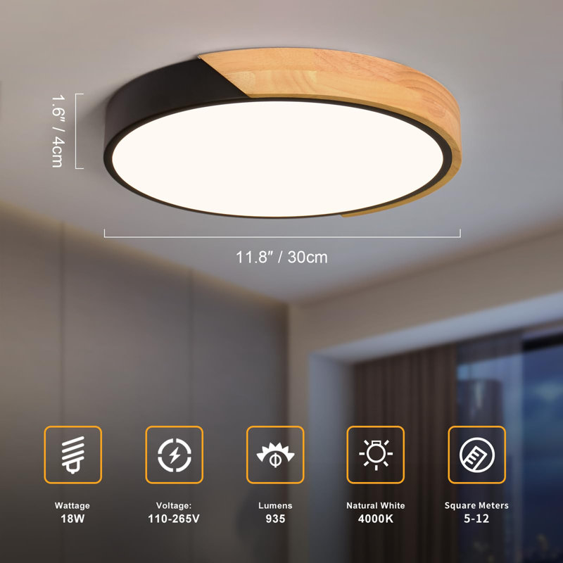 Modern LED Ceiling Light, Black