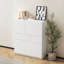 armoire de rangement en bois avec 4 portes et 2 tiroirs