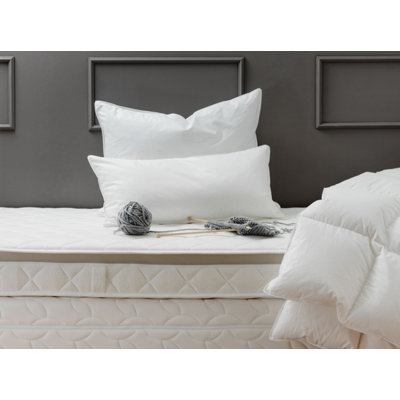 Duck Feather & Down Plush Pillow