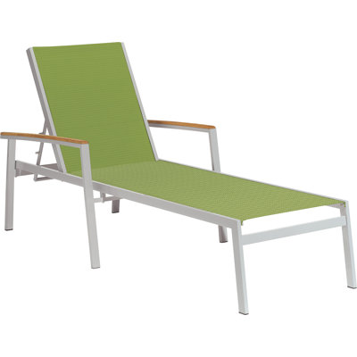 Travira Outdoor Teak Chaise Lounge
