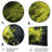 Green Spiral Neon Fusion 4 - Abstract Collages Metal Wall Art-1911410085
