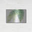 «Ferns III» par Chris Paschke-709083172