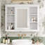 Armoire de salle de bain murale avec miroir-1438787838