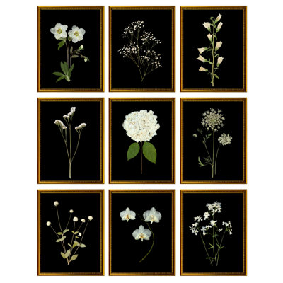 Pressed Botanical Giclees On Black Framed Set