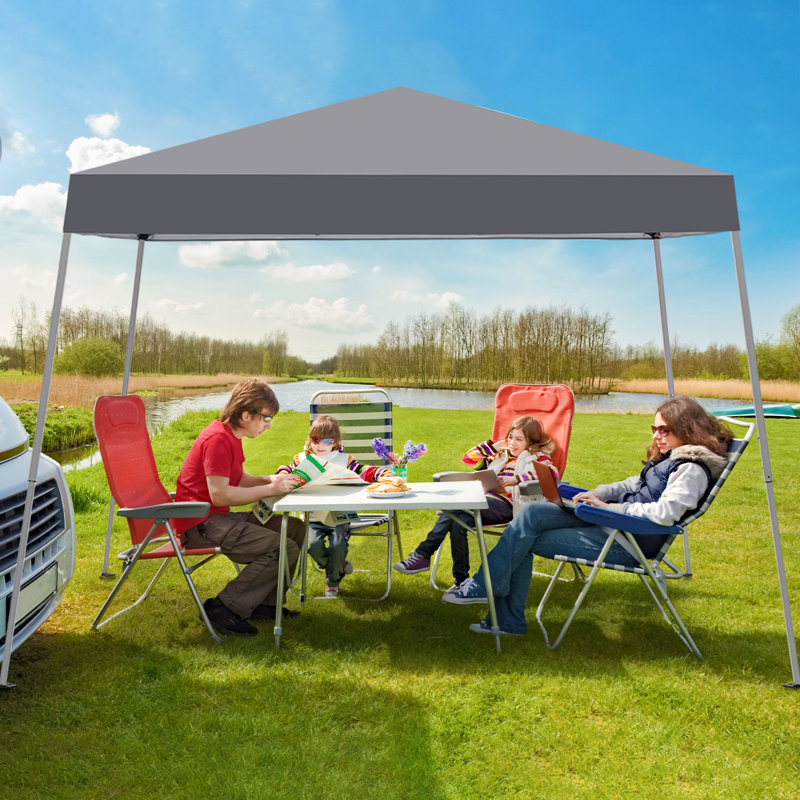 10 Ft. W X 10 Ft. D Steel Pop-Up Canopy With Weights, Gray