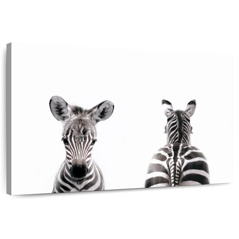 Zebra Front And Back Portrait, 20" H x 30" W