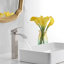 Single-handle Bathroom Faucet with Drain Assembly-72521010