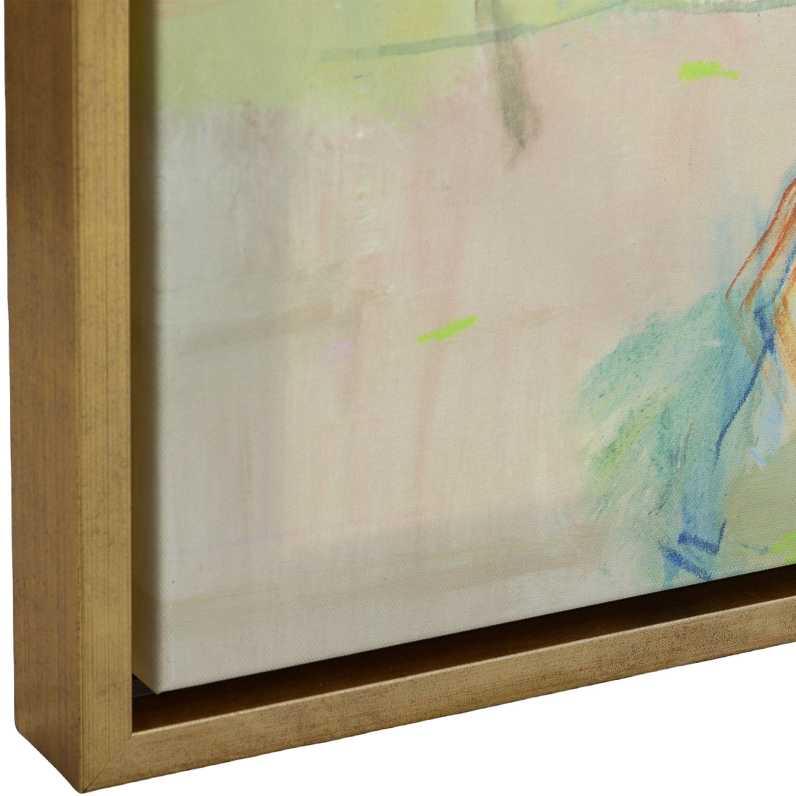 Framed Print by Lisa Ridgers