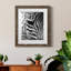 Zebra Colt - Photographie avec cadre photo-1635737486-1635583822