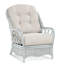  Everglade Rattan Arm Chair-27525512-61811611
