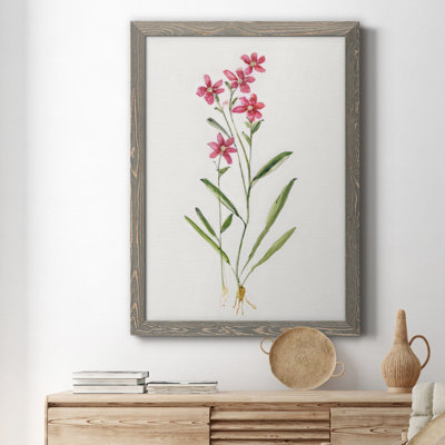 " Delicate Pink II " Painting Print