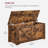Storage Trunk with 2 Safety Hinges-1703426388